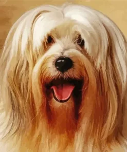 Happy Tibetan Terrier Diamond Painting