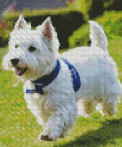 Happy West Highland Terrier Diamond Painting