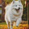 Happy Japanese Spitz Diamond Painting