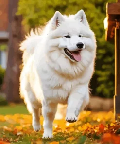 Happy Japanese Spitz Diamond Painting