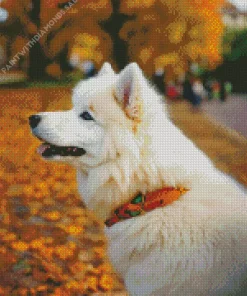 Japanese Spitz In Autumn Leaves Diamond Painting