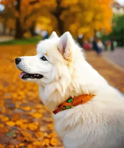 Japanese Spitz In Autumn Leaves Diamond Painting