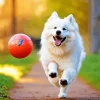 Japanese Spitz Playing With A Ball Diamond Painting