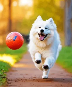 Japanese Spitz Playing With A Ball Diamond Painting