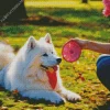 Japanese Spitz With Dreamcatcher Diamond Painting