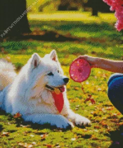 Japanese Spitz With Dreamcatcher Diamond Painting