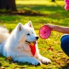 Japanese Spitz With Dreamcatcher Diamond Painting