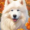 Japanese Spitz With Orange Flowers Diamond Painting