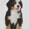 Little Bernese Mountain Puppy Diamond Painting