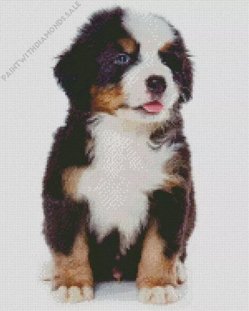 Little Bernese Mountain Puppy Diamond Painting