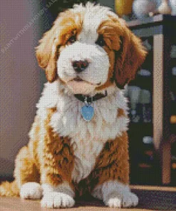 Lovely Bernedoodle Diamond Painting