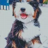 Mini Bernedoodle Diamond Painting