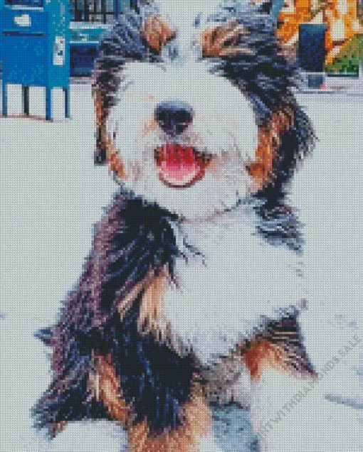 Mini Bernedoodle Diamond Painting