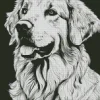 Monochrome Golden Retriever Diamond Painting