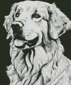 Monochrome Golden Retriever Diamond Painting