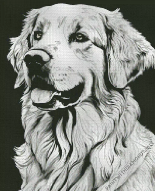 Monochrome Golden Retriever Diamond Painting