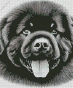 Monochrome Newfoundland Diamond Painting