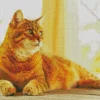 Orange Calico Cat Diamond Painting