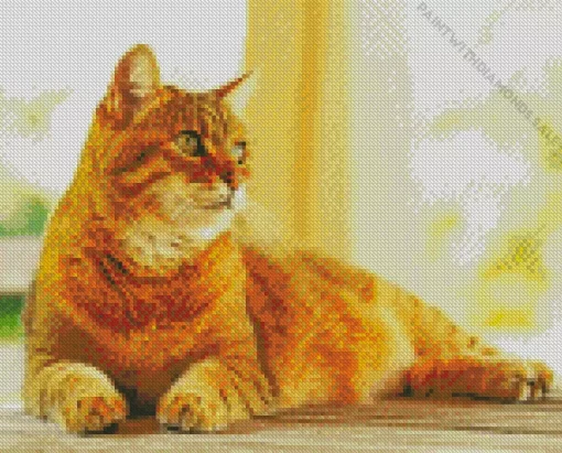 Orange Calico Cat Diamond Painting