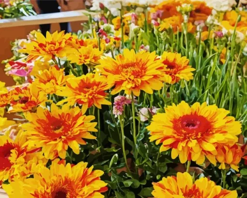 Orange Gazania Flowers Diamond Painting