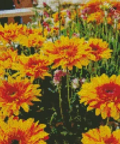 Orange Gazania Flowers Diamond Painting