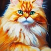 Orange Himalayan Cat Diamond Painting