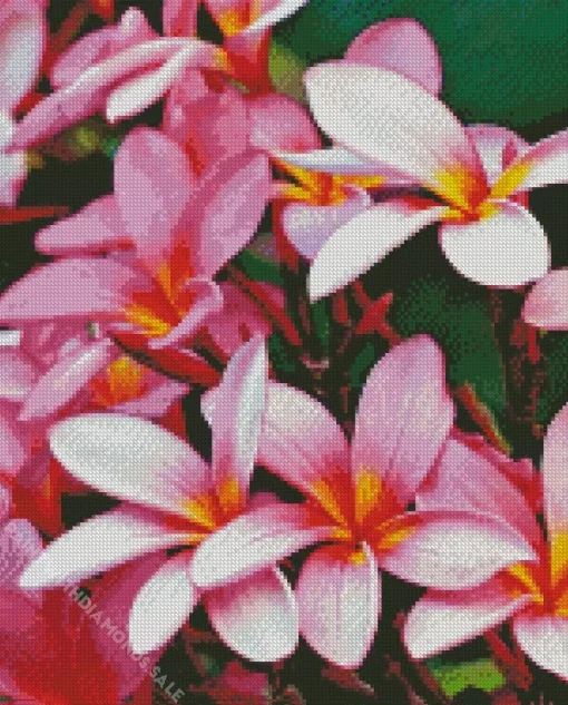 Pink Frangipani Diamond Painting