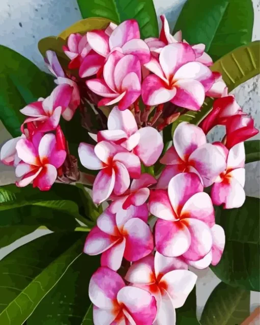 Pink Frangipanis Diamond Painting