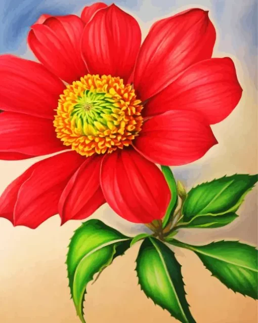 Pink Gazania Flowers Diamond Painting