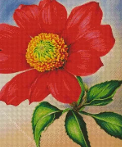 Pink Gazania Flowers Diamond Painting