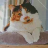 Playful Calico Cat Diamond Painting