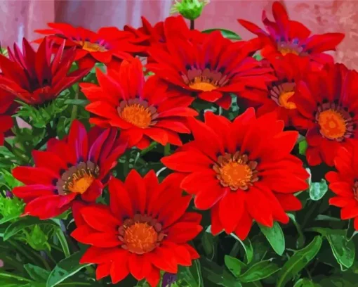 Red Gazania Flowers Diamond Painting