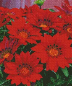 Red Gazania Flowers Diamond Painting