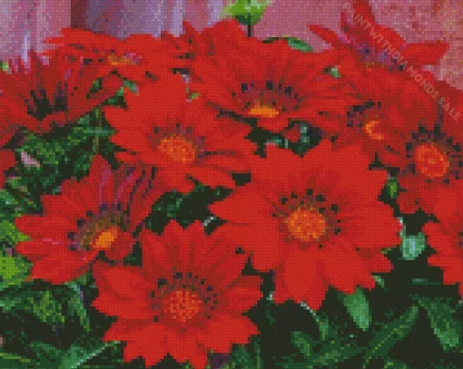 Red Gazania Flowers Diamond Painting