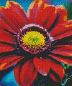 Red Gazania Rose Diamond Painting