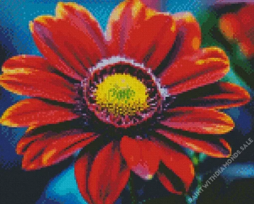 Red Gazania Rose Diamond Painting