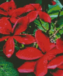 Red Plumeria Diamond Painting