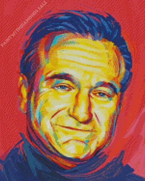 Robin Williams Art Diamond Painting