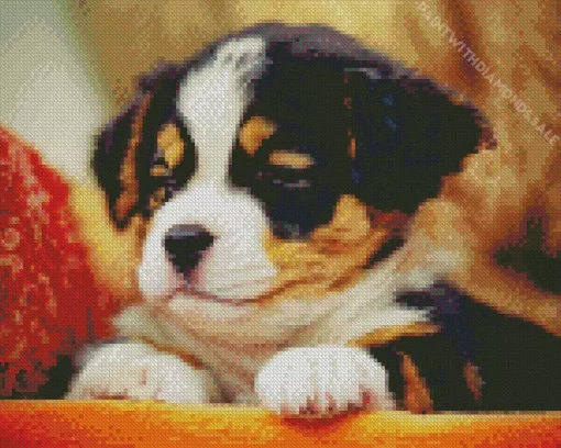 Sleepy Bernese Mountain Dog Diamond Painting