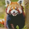 Small Red Panda Diamond Painting