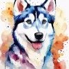 Splatter Husky Dog Diamond Painting