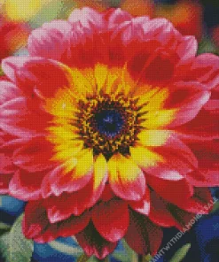 Sunlit Gazania Diamond Painting