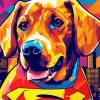 Superhero Vizsla Dog Diamond Painting