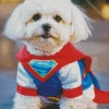 Superhero Zuchon Puppy Diamond Painting