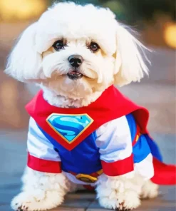 Superhero Zuchon Puppy Diamond Painting