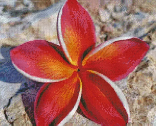 Sydney Frangipani Diamond Painting