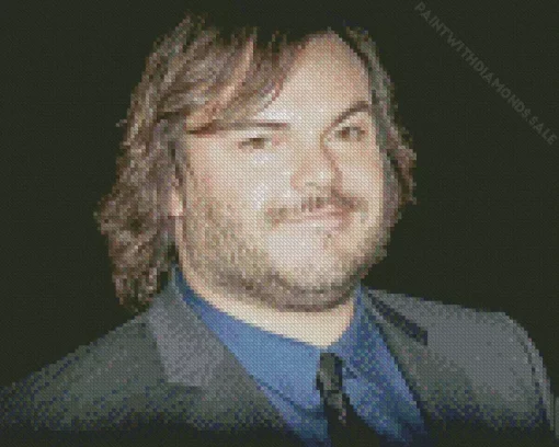 The Actor Jack Black Diamond Painting