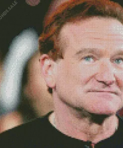 The Iconic Robin Williams Diamond Painting