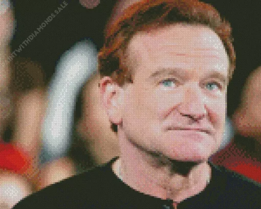 The Iconic Robin Williams Diamond Painting