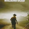 The Walking Dead Series Poster Diamond Painting